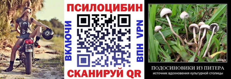 Псилоцибиновые грибы мицелий  купить наркоту  Стрежевой 